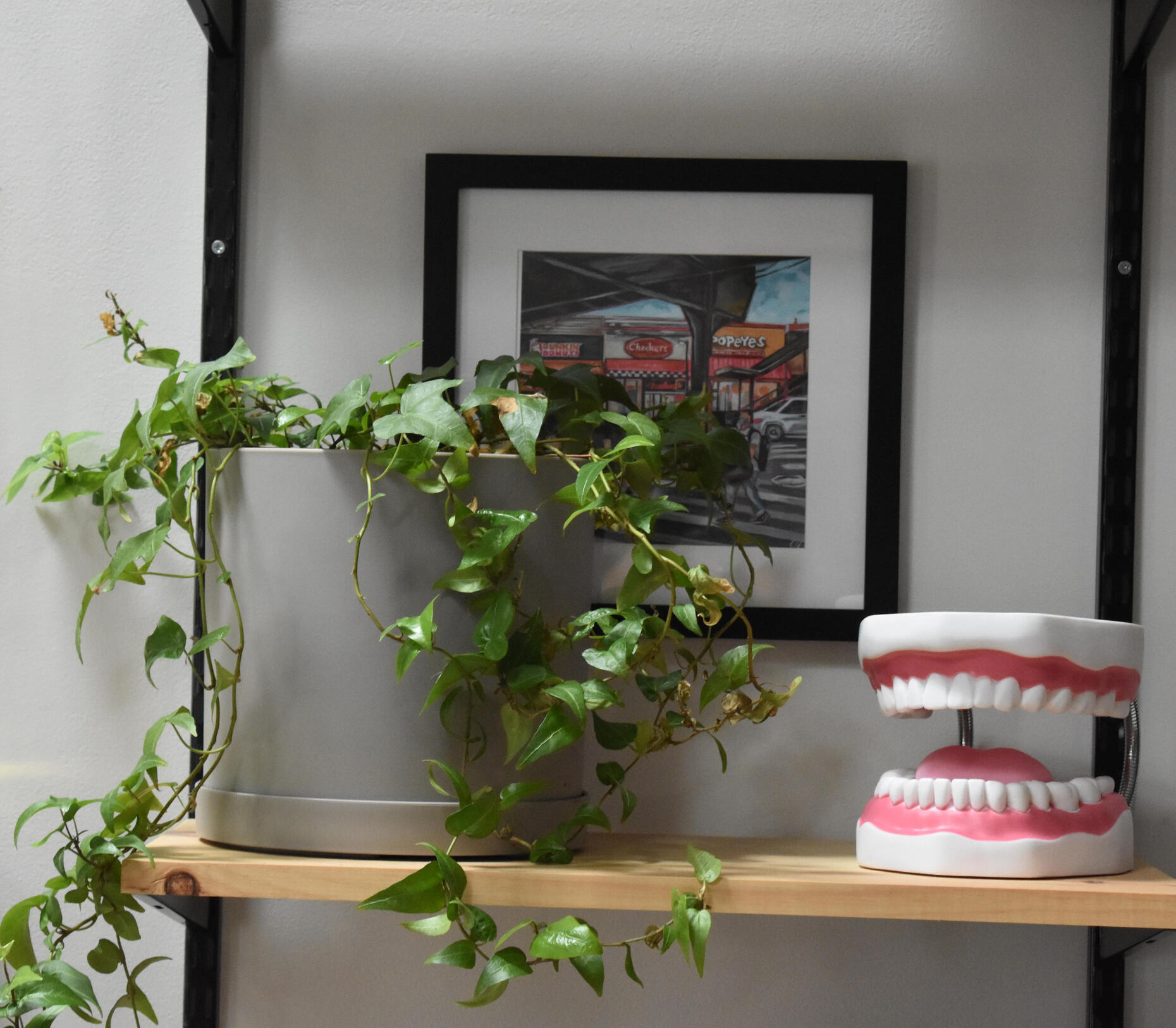 A mouth model and plant sit beside one another one a light wooden shelf.